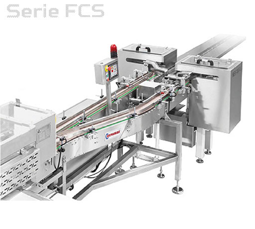 FEEDING CONVEYOR SYSTEMS
